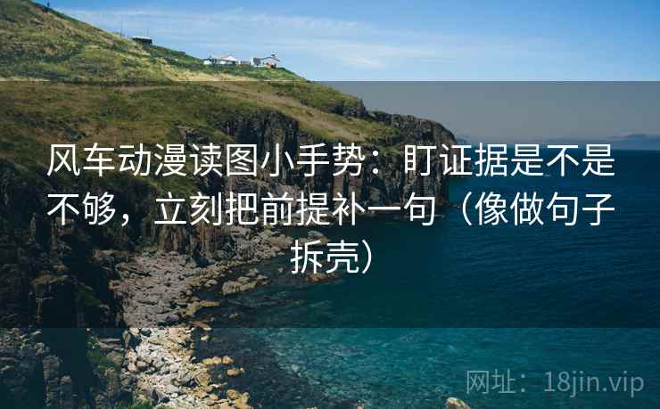 风车动漫读图小手势：盯证据是不是不够，立刻把前提补一句（像做句子拆壳）